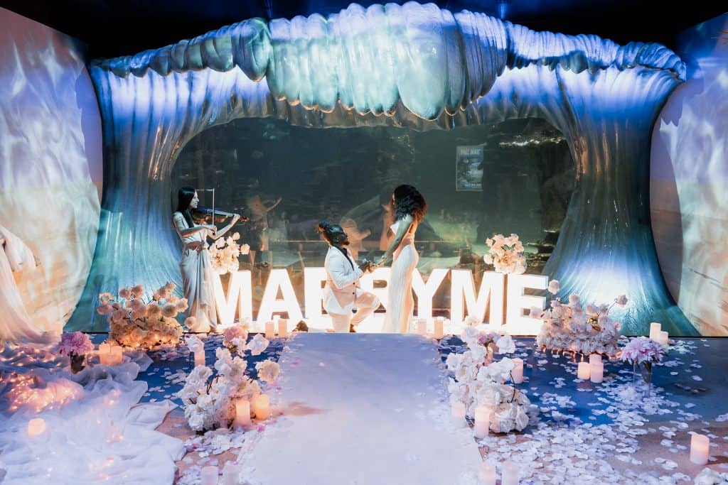 best places to propose in Sydney - Aquarium