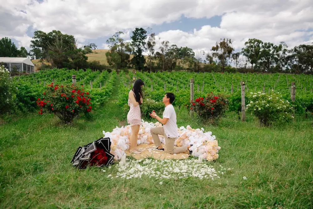 couple proposing in front of vineyard