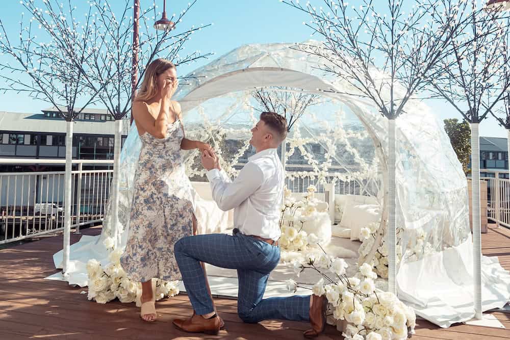 Pier One Igloo Proposal