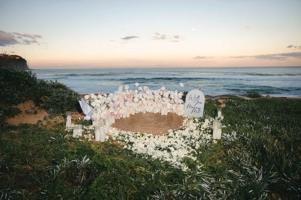central coast picnic beach proposal