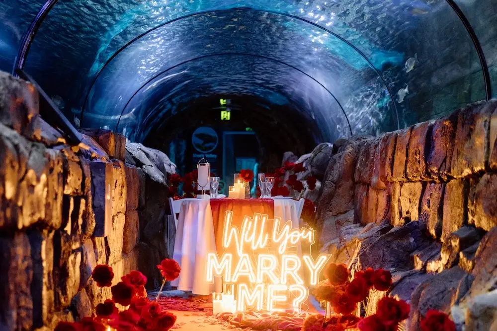 "will you marry me" sign in aquarium shark tunnel