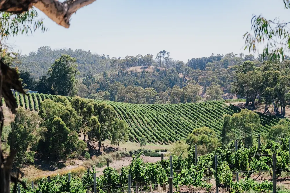 Adelaide winery proposal location