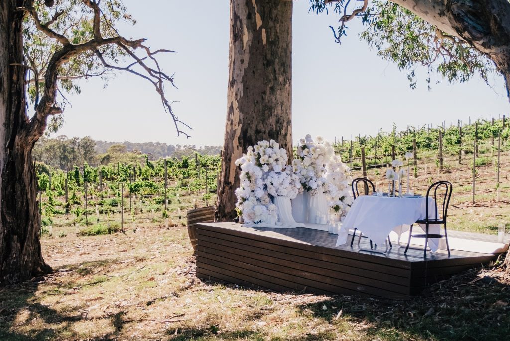 best places to propose in adelaide - adelaide winery proposal