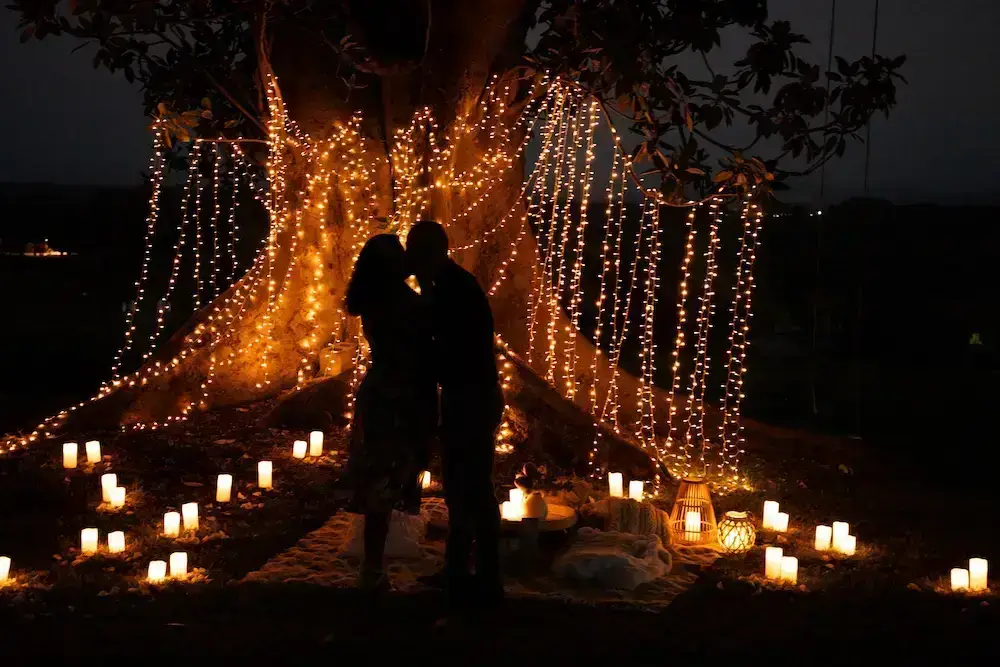 fairy light proposal idea