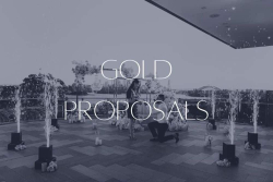 VIP service for luxe proposals over $10,000. Click here to find out more.
